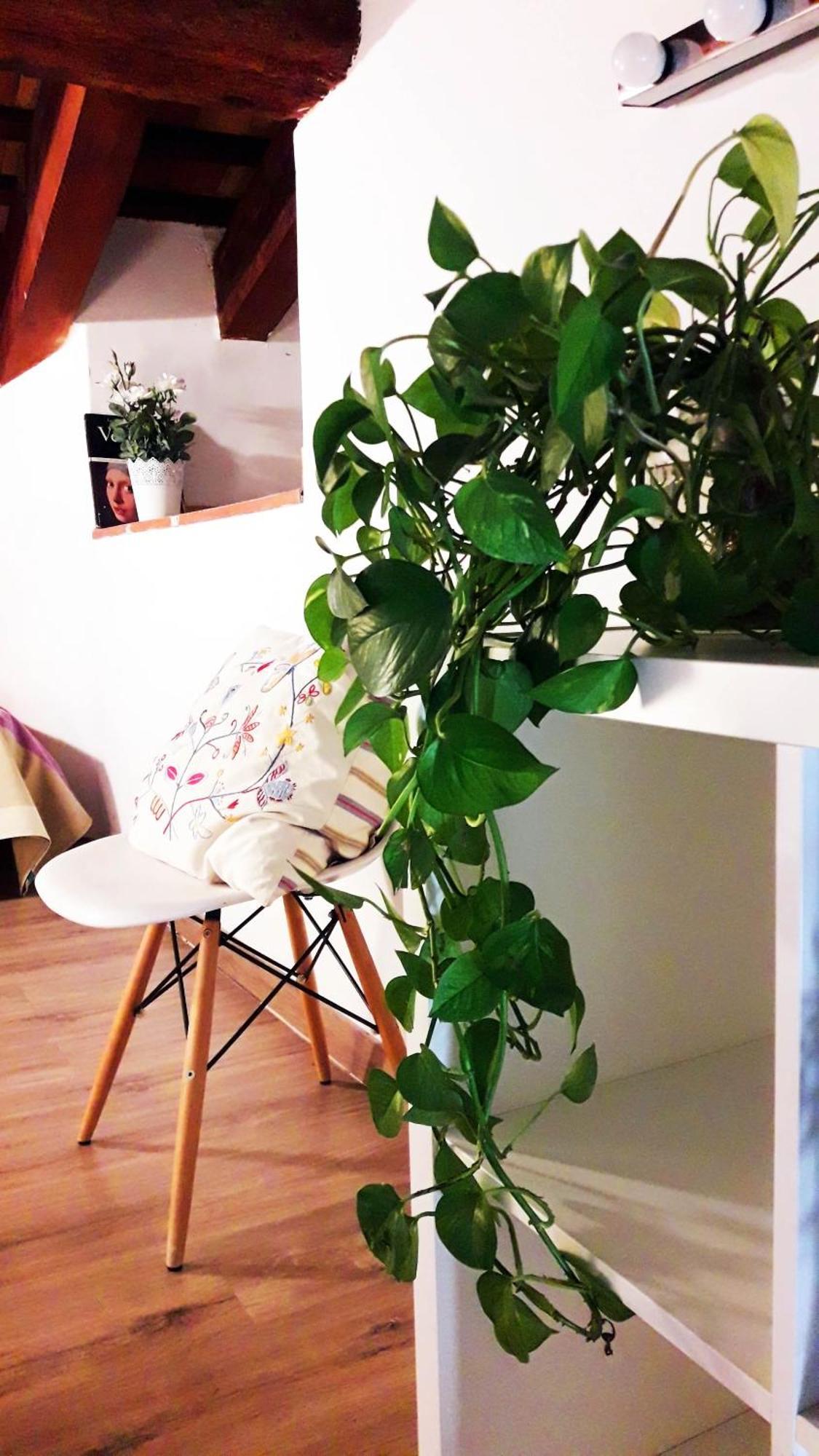 Apartamentos Centricos Barrio Del Carmen Walencja Zewnętrze zdjęcie